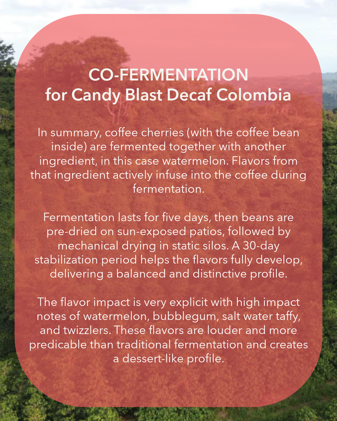 Candy Blast Decaf Colombia